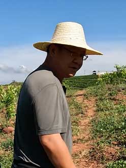 农业人叶涛，50多岁通讯人跨界搞农业，他要用1000万打造一个梦。